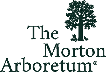 The Morton Arboretum